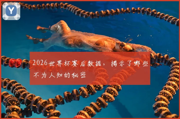 2026世界杯赛后数据，揭示了哪些不为人知的秘密