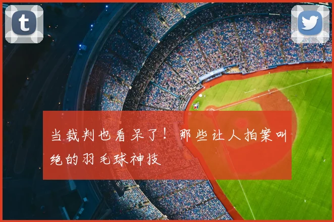 当裁判也看呆了！那些让人拍案叫绝的羽毛球神技