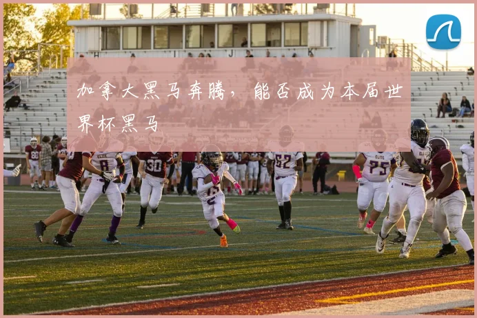 加拿大黑马奔腾,能否成为本届世界杯黑马