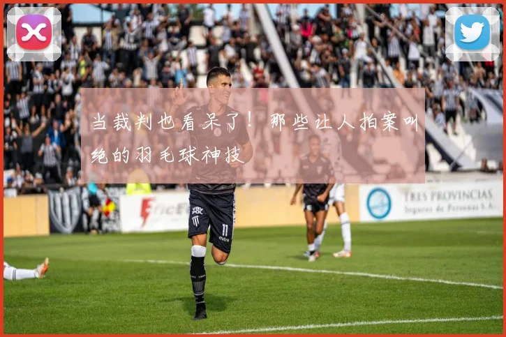 当裁判也看呆了！那些让人拍案叫绝的羽毛球神技