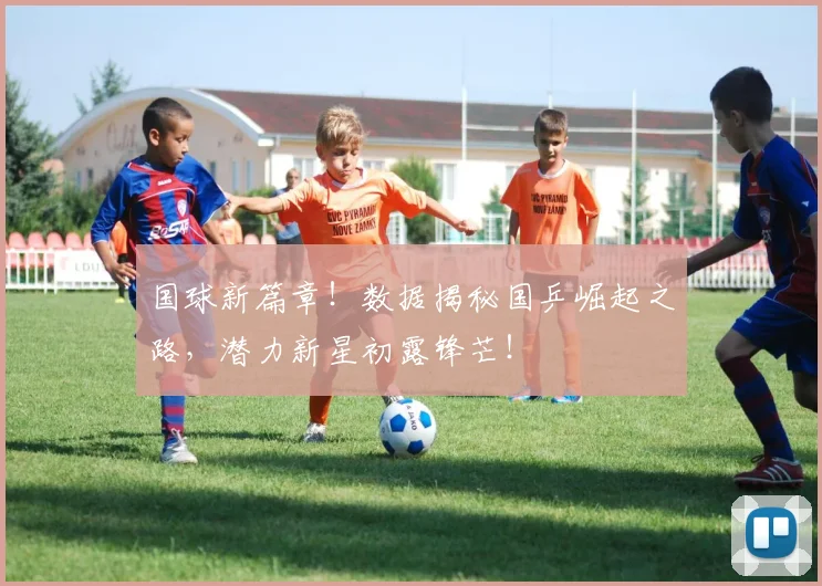 国球新篇章!数据揭秘国乒崛起之路,潜力新星初露锋芒!