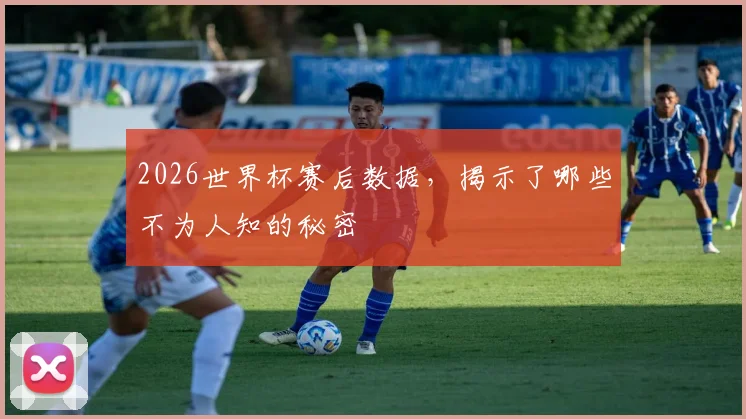 2026世界杯赛后数据，揭示了哪些不为人知的秘密